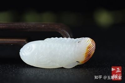 魚缸清潔的魚有哪幾種（魚缸清潔的魚有哪幾種類型）