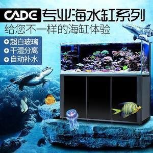 金龍魚調和油是什么做的（金龍魚調和油是什么做的呢） 祥龍水族醫(yī)院