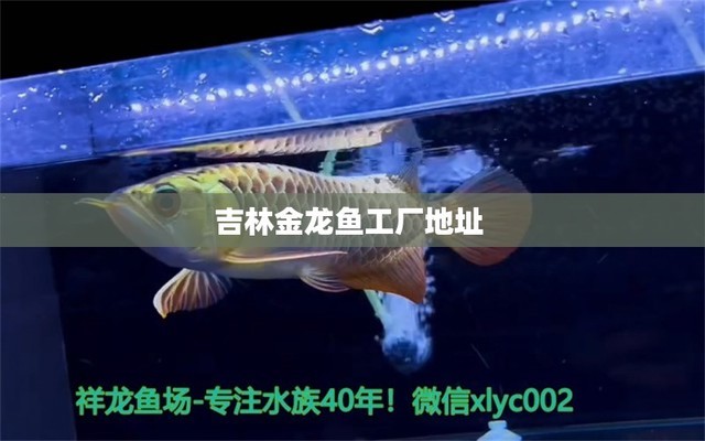 鱼缸的出水口放什么位置最好（鱼缸的出水口放什么位置最好呢）