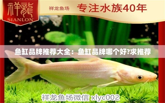 黑莊戶觀賞魚(yú)批發(fā)市場(chǎng)還在嗎（黑莊戶觀賞魚(yú)市場(chǎng)搬哪去了）