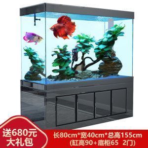 龍魚虎魚打架是因為魚太少嗎（龍魚和虎打架怎么辦）