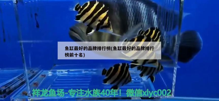 河南大志鹏水族器材销售有限公司（河南志鹏水利水电工程有限公司）