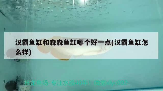 延吉賣魚缸的地方（延吉賣魚缸的地方在哪） 其他品牌魚缸