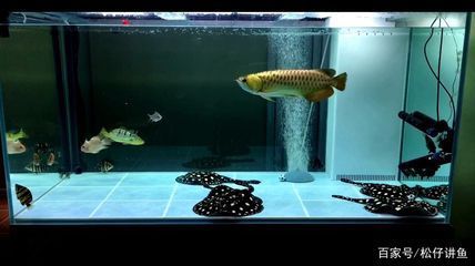 荊州魚(yú)缸售后維護(hù)電話是多少（荊州魚(yú)缸售后維護(hù)電話是多少號(hào)）