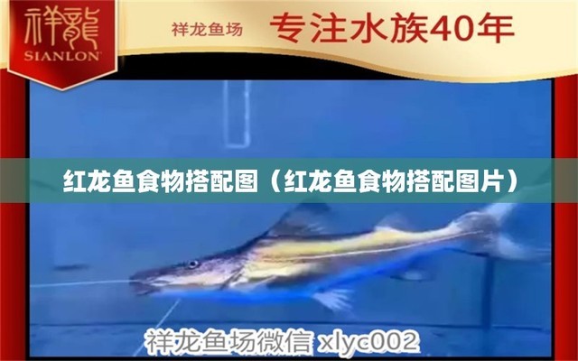 玻璃管魚(yú)缸圖片及價(jià)位（玻璃管魚(yú)缸圖片及價(jià)位視頻）