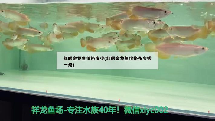 光特億水泵控制器進(jìn)水怎么辦（光特億水泵故障）