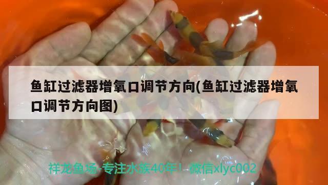 為什么魚缸過濾器抽不上水（如何正確維護(hù)魚缸過濾器魚缸過濾器堵塞的常見原因） 魚缸百科