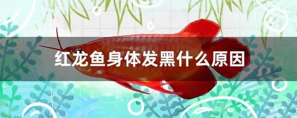 1米的魚缸用多大的水泵（1米的魚缸用多大的水泵合適） 魚缸百科