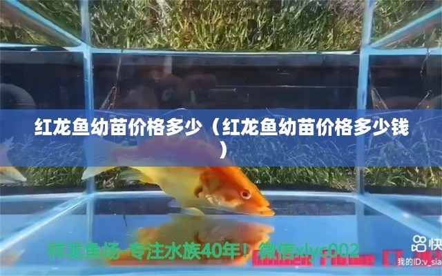 魚缸氣泵一個(gè)出氣一個(gè)不出氣 水族問答 第2張