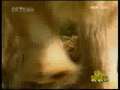 新闻袋袋裤 新闻袋袋裤 2009年 第102期