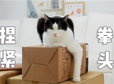 剁手视频！猫猫购物分享