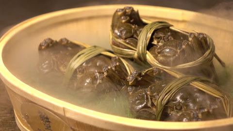 觅食迹 半年不见，甚是想念