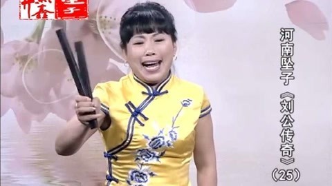河南坠子 坠子《刘公传奇》胡银花