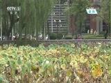 文化十分 《文化十分》 20160919