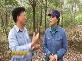 生财有道 《生财有道》 20151223 生态中国系列（乡村行）——生态大山里的养鸡博士