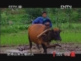 地理中国 《地理中国》 20120927 神宫迷影