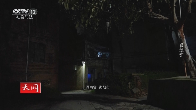 天网 《天网》 20250805 夜迷宫