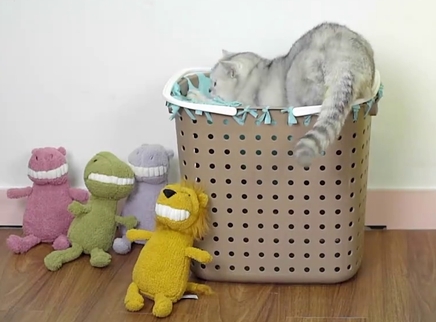 举起爪儿来 收纳筐猫咪吊床