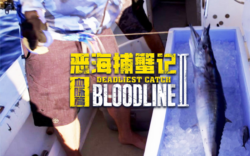 有其父必有其子