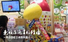 我住在这里的理由 第一季 花样男子潜入日本零食王国
