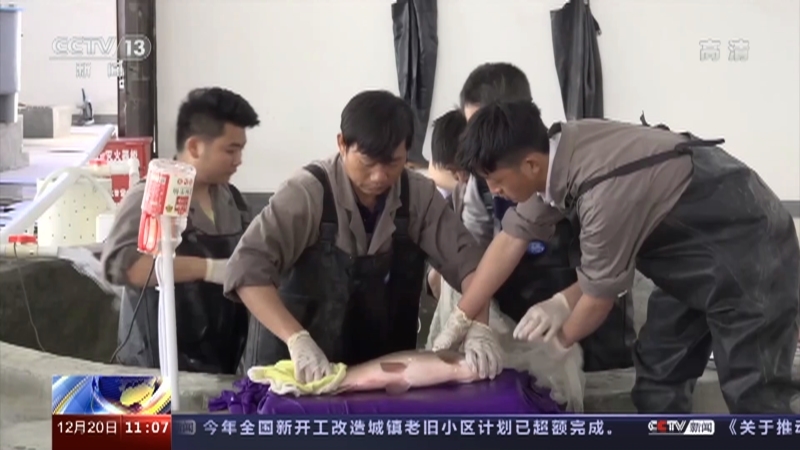 新闻直播间 《新闻直播间》 20221220 11:00