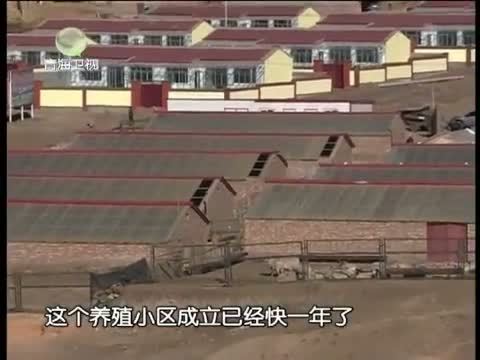 江源扫描 《江源扫描》 20141101 因地制宜 探索扶贫开发新模式