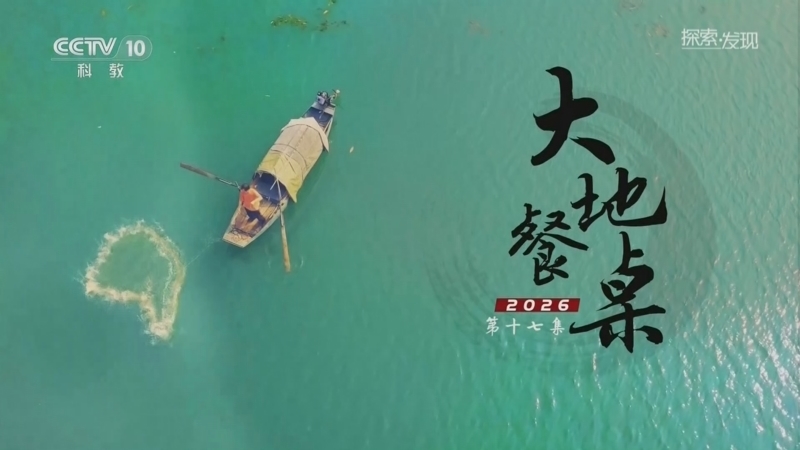 《探索·发现》 20260504 大地餐桌2026（17）