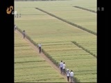 山东新闻联播 《山东新闻联播》 20150529