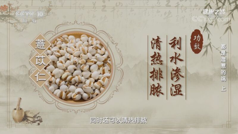 健康之路 《健康之路》 20200912 都是湿惹的祸（上）