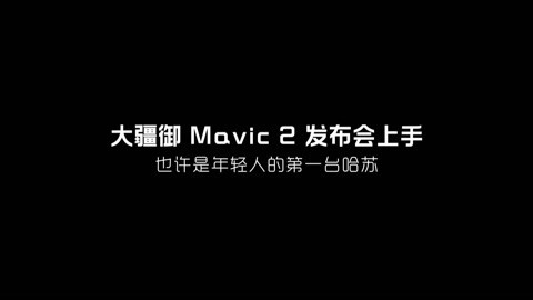 FView 大疆御Mavic 2上手