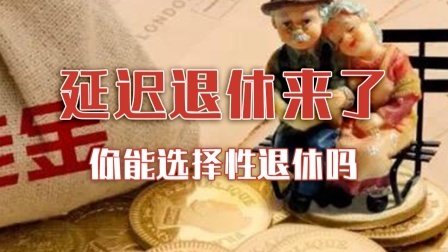 延迟退休来了 你能选择性退休吗？