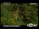 地球密码（周末精编节目） 周末精编节目 2010年 第222期 2-2