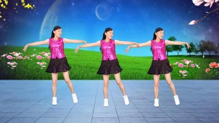 玫香广场舞《风中的花蝴蝶》DJ版，32步附教学