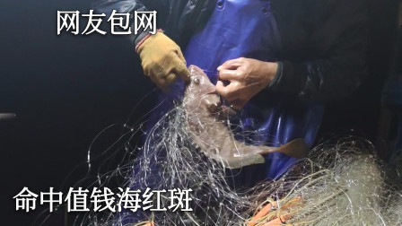 南澳岛赶海日记 网友花500块包网直接命中大红斑，还有好几条黑鲷，真的是有钱赚又有海鲜吃