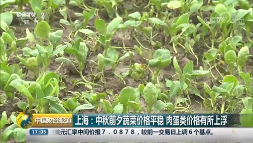 中国财经报道 《中国财经报道》 20190904 17:00
