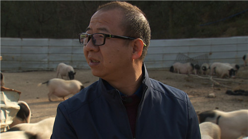 致富经 [致富经]一个习惯 年卖千万 他让财富满山跑 20190314