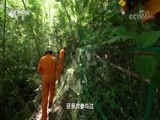 地理中国 《地理中国》 20180808 天坑秘境·天坑迷雾（下）