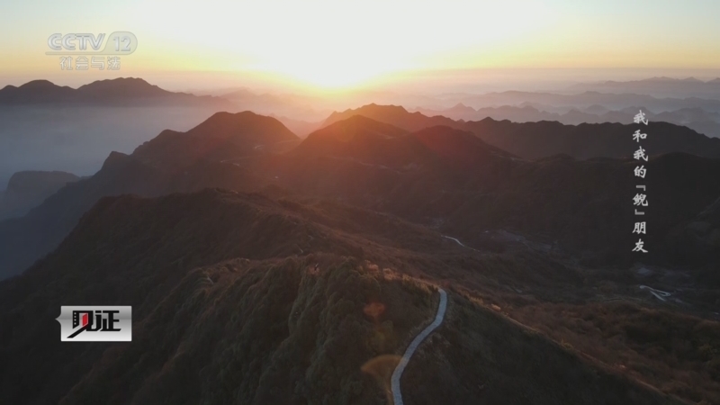 《见证》 20251116 我和我的“鲵”朋友