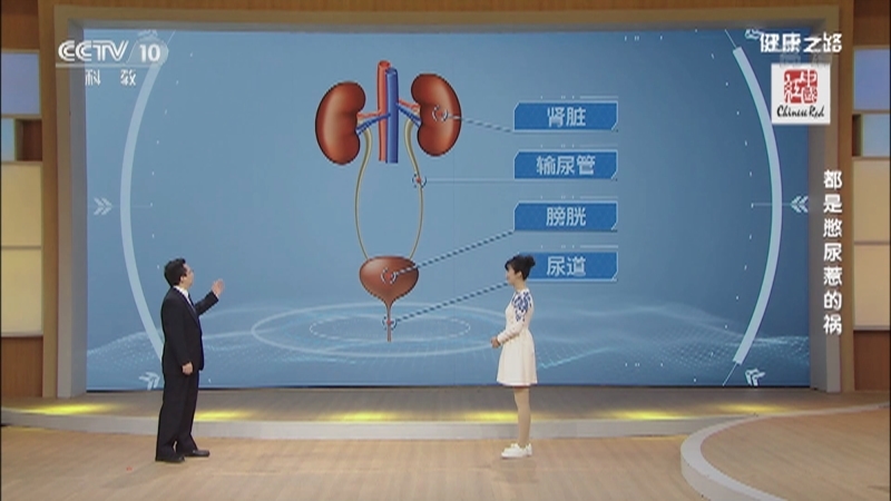 健康之路 《健康之路》 20201204 都是憋尿惹的祸
