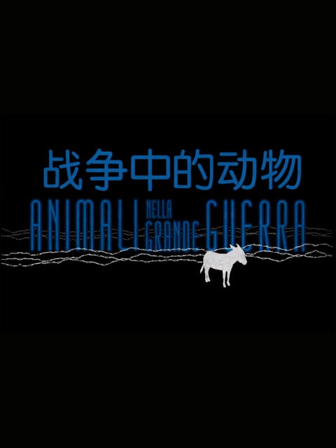 战争中的动物 海报