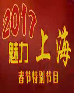 2017春节特别节目-魅力上海 海报