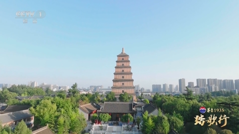 《踏歌行》 20251010 世界文化遗产 丝绸之路 长安-天山廊道的路网