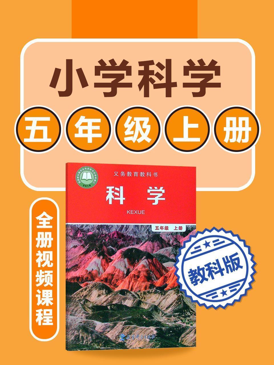 小学科学 教科版五年级上册全册视频课程