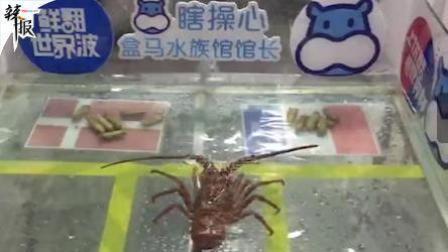 足球大虾瞎操心 丹麦对法国哪个胜? 足球大虾瞎操心来预测