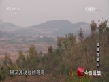 今日说法 《今日说法》 20150518 证据在深山