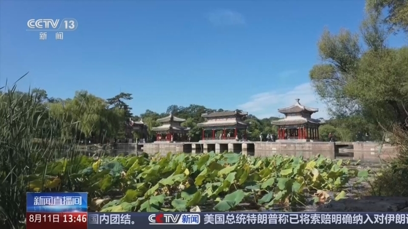 新闻直播间 《新闻直播间》 20260811 13:00