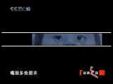 健康之路 变脸娃娃