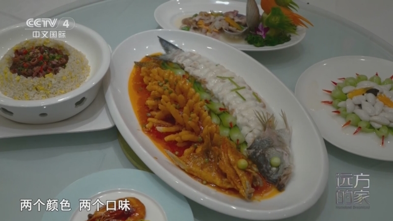 远方的家 《远方的家》 20250723 海与城的交响 蓝色港城 滨海风情