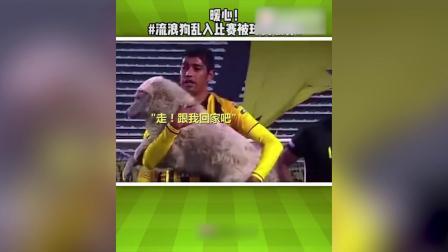 HAPPY ENDING！流浪狗干扰比赛被球员收养