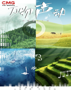 万物声动 海报